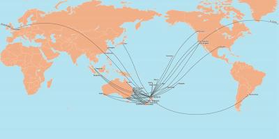 طيران نيوزيلندا خريطة الطريق الدولي